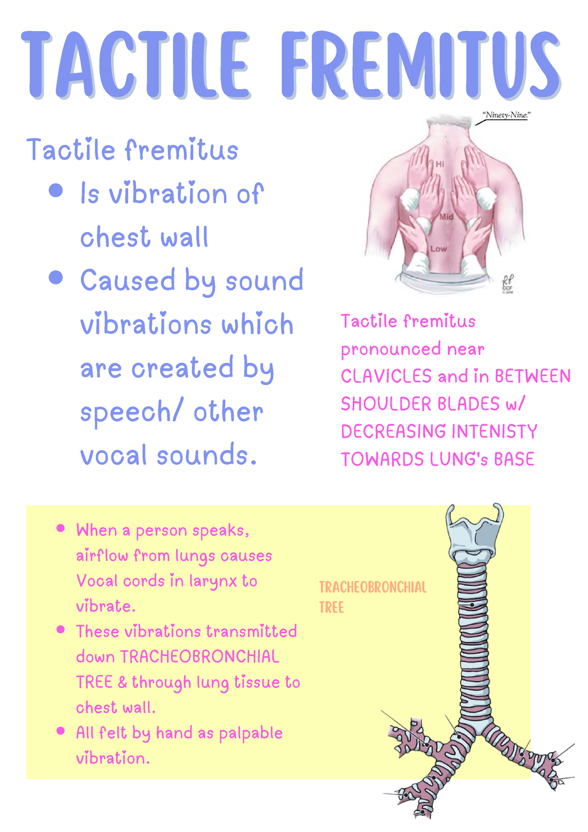 Tactile Fremitus - E Phlebotomy Training