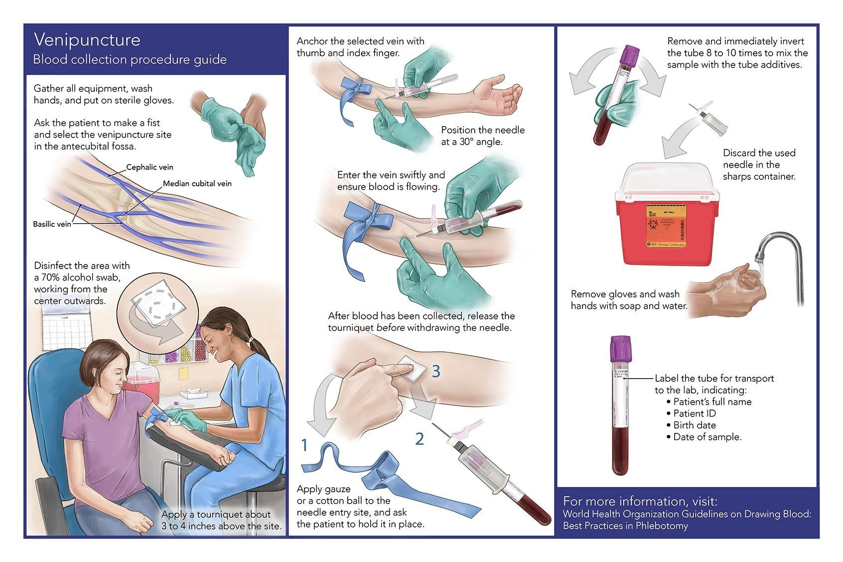 Phlebotomy Procedure Step By Step - E Phlebotomy Training